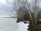 Frozen Rekyva lake and forest during cloudy winter day