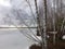 Frozen Rekyva lake and forest during cloudy winter day