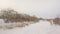 Frozen river with reed and bare trees and shrubs in Gatineau