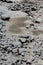 Frozen riverbed with snowy rocks