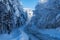 Frozen road crossing a snowy forest