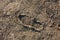 Frozen road dirt with a trace of one boot. Background texture