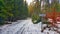 Frozen Road in Lipno Forest