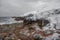 Frozen rocks on the shores of the Barents Sea