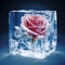 Frozen rose in ice cube on blue background. Close-up illustration. Generative AI