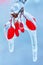 Frozen rosehip branch in winter