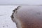 Frozen Sand Dunes Danish West Coast