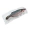 Frozen sea bass. In plastic vacuum packaging. White background. Isolated. View from above