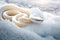 Frozen Serpent: A White Snake\\\'s Tale in the Antarctic Realm