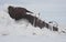 Frozen ship in ice and snow