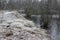 Frozen shore with white grass in the park