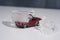 Frozen small red car in ice. Abstract winter driving concept