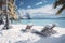 Frozen and snow-covered tropical beach with empty sun loungers. Choosing a location for a holiday. Getting out of season at a