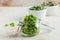 Frozen Soy beans in a glass jar. Freezing is a safe method of increasing the shelf life of nutritious foods