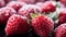 Frozen strawberries, up close, adorned with a delicate icy frost