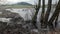 Frozen stream with ice floes and water