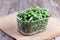 Frozen string beans in a glass box on a wooden table