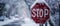 Frozen in Time: A Snow-Covered Stop Sign at 0 AM