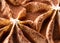 Frozen Tiramisu flavour gelato - full frame detail. Close up of creamy surface texture of Tiramisu Ice cream covered with brown