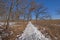 Frozen Trail Amidst the Savannah