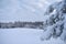 Frozen trees,bathhouse 	  near forest . Beautiful Lithuania winter