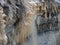 Frozen trees near Valaste waterfall Estonia