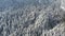 Frozen trees and snow covered evergreen forest.