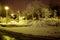 Frozen trees under the snow at night