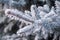 frozen twig background