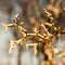 Frozen twig background - GOLD version