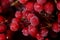 Frozen viburnum berries