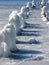 Frozen vintage pier pilings jut out on Cayuga Lake