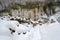 Frozen water columns on a rock wall, with wooden logs cut to size and covered in fresh snow