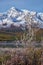 Frozen willow leaves under hoarfrost. North Chuiskiy Ridge snow mountains is on background