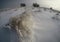 Frozen Wind Swept Fields and Trees in Colorado Winter
