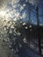 Frozen Window, Ice, Snow Flakes, Winter, Icy, Cold, Blue, Sky, Trees, Countryside, Country, Snow Flakes, Forest, Wood, weather