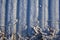 Frozen winter background, Dense thick frost snow crystals on striped wooden surface