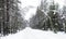 Frozen winter forest road in snow in Russia