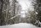 Frozen winter forest road in snow in Russia