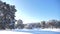 Frozen winter forest with snow covered trees. Slow motion video. Winter pine forest in the snow sunlight movement