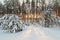 The frozen winter lake in wood under snow