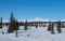 Frozen Winter Wilderness in Denali National Park