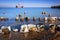 Frozen wooden breakwaters line at Baltic Sea