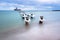 Frozen wooden breakwaters line to the world war II torpedo platform at Baltic Sea