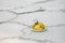 Frozen Yellow Buoy and Abstract Ice Texture at Konstanz Harbor, Lake Constance, Germany