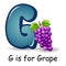 Fruit alphabet: G is for Grape