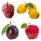 Fruit. Annona, Quince, Plum, Apple