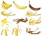 Fruit, Bananas