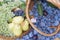 Fruit baskets. Fresh plums, grapes and pears in wooden baskets