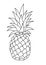 Fruit black and white lineart drawing illustration
